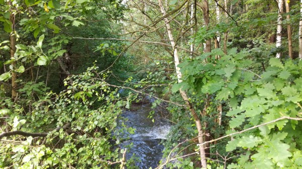 Revitalizace plochy mezi dolní částí ulice Lesní a MŠ v ulici Zahradní. Vybudování areálu víceúčelového a vícegeneračního hřiště.