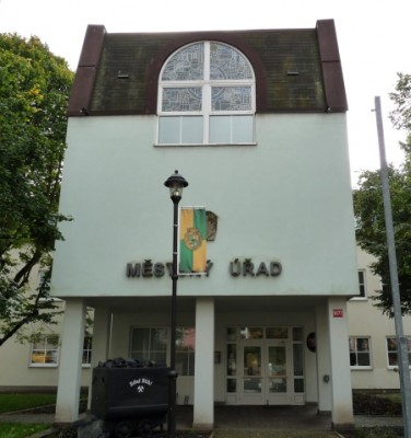 Realizace preventivních programů pro omezení sociálních problémů