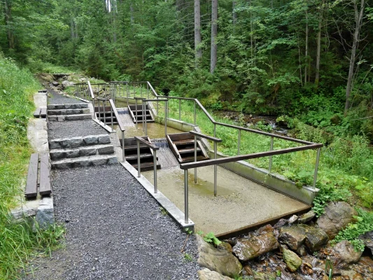 Kneippův chodník na Vintířovském potoce